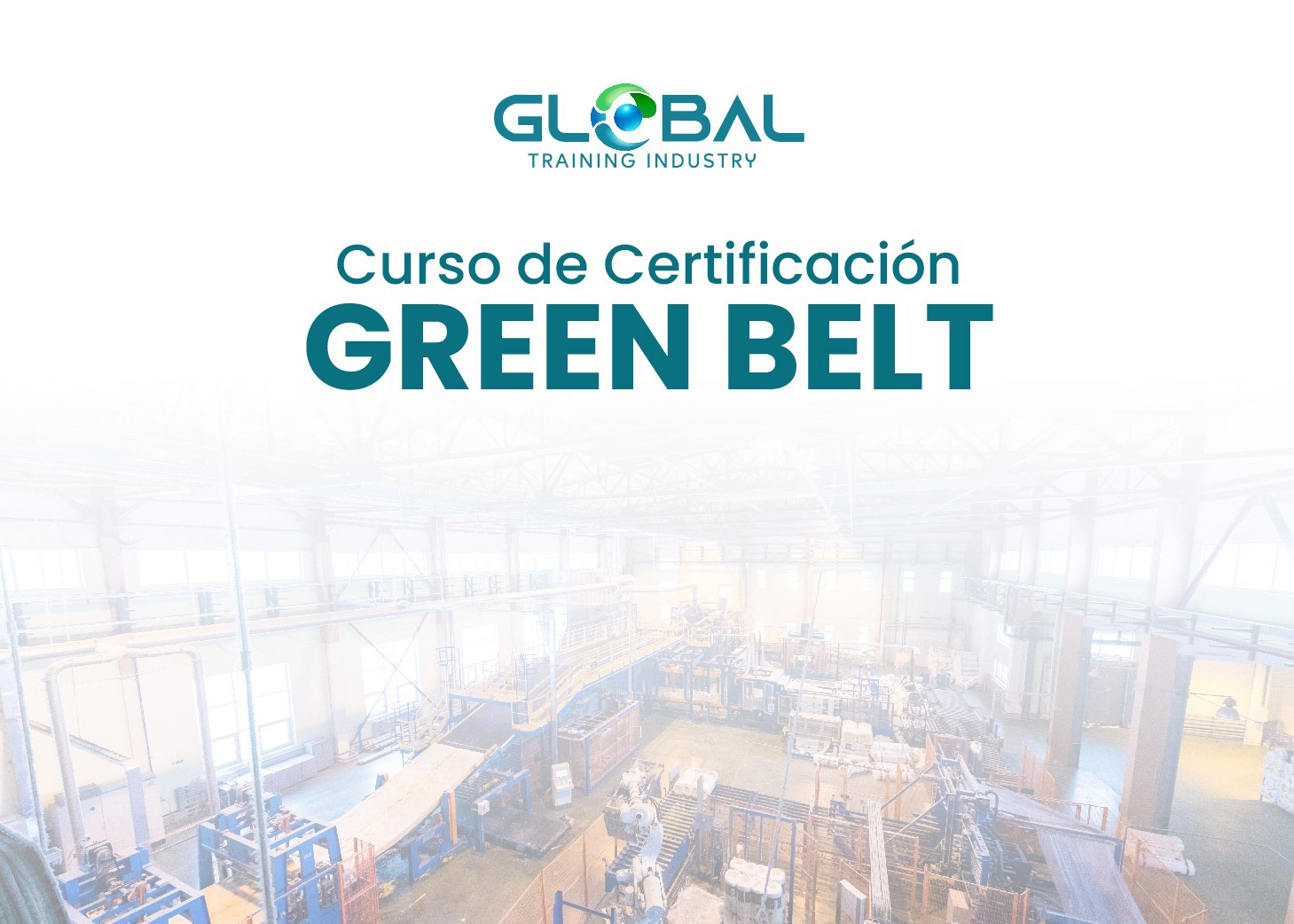 Herramientas Básicas y Avanzadas de la Calidad 16 (Paquete Green Belt)